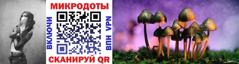 Галлюциногенные грибы Psilocybe  Купить закладки  Кизилюрт 