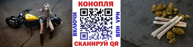 Купить где  Кизилюрт  МАРИХУАНА SATIVA & INDICA 